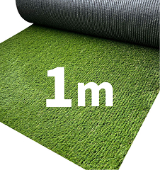 1m
