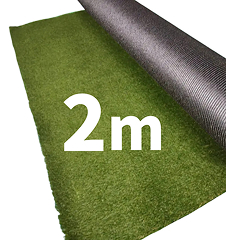 2m
