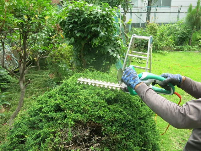 刈り刃の種類を確認