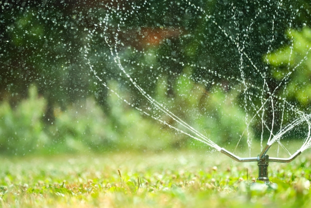 芝生の庭にスプリンクラーが楽な理由