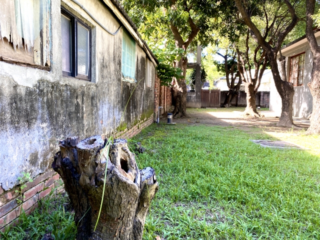 植栽の周りに円形でくり抜く