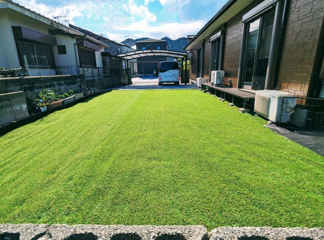 リアル人工芝なら芝生さながらの見た目