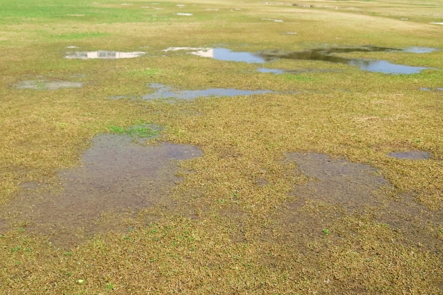 排水しやすくする