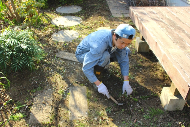 専門の業者に頼む