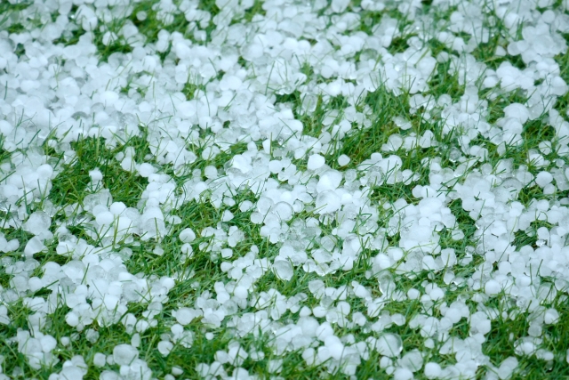 人工芝のサッカー場は天然芝と比べて雪の影響を受けにくい