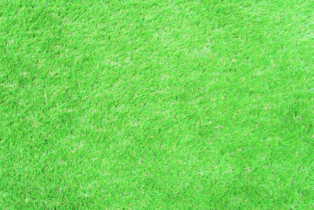 やわらかい毛のブラシを選べば人工芝を傷めにくい