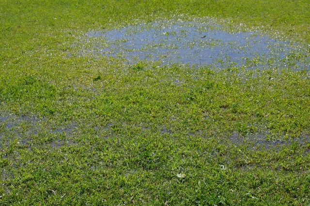 水はけの悪さ