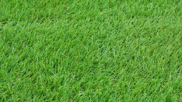 ほっとひと息つける癒やし空間