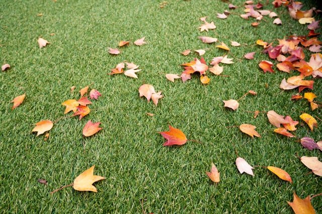 本的にデッキブラシで掃除しても問題ない