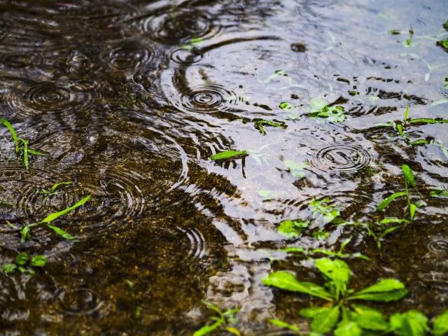 基本的に大雨後でも特別なメンテナンスは不要